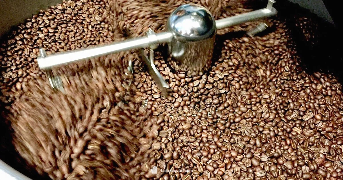 Get Started Roasting Get Started Roasting - Bake In Oven