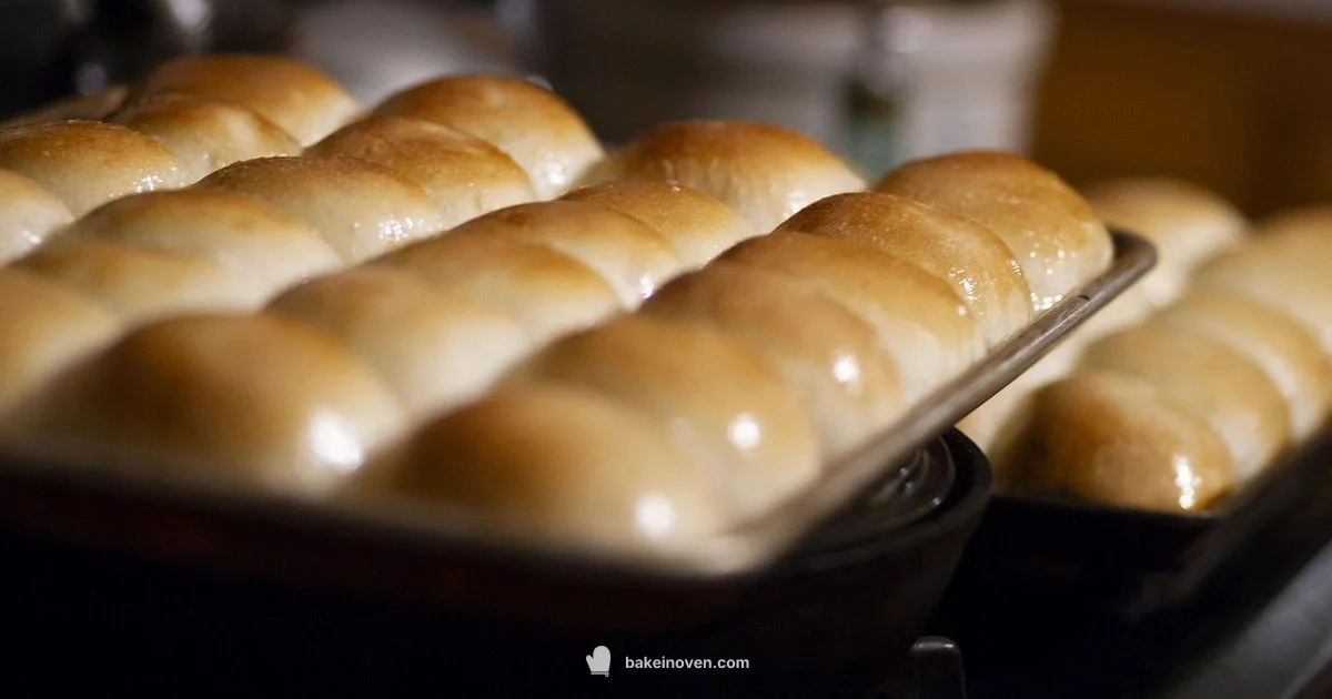 Hasty Bake Review - Bake In Oven