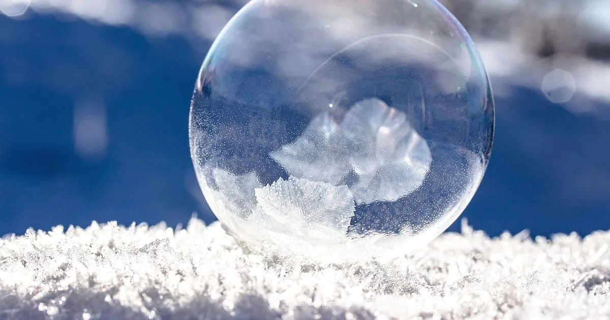 Frozen Chicken Guide - Bake In Oven