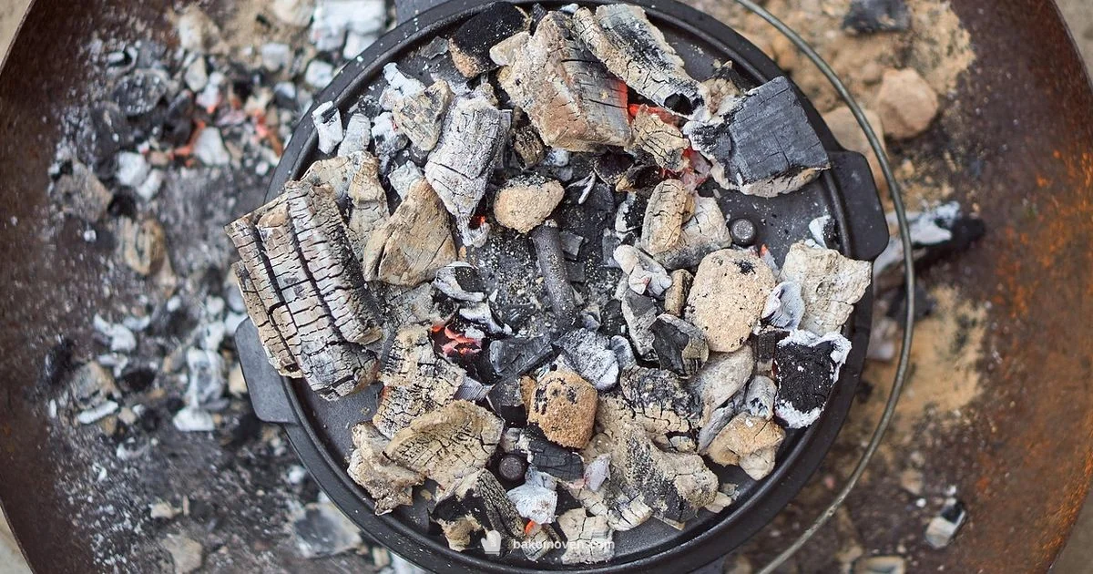 Best Bake Guide Best Bake Guide - Bake In Oven