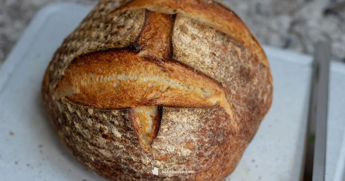 Bake Sourdough at Home - Bake In Oven