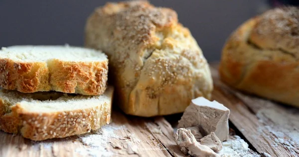 Ready to Bake - Bake In Oven