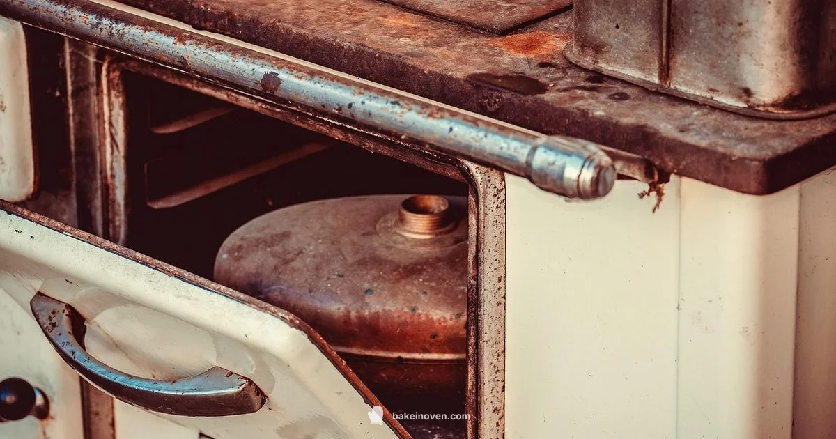 Oven Health Guide - Bake In Oven