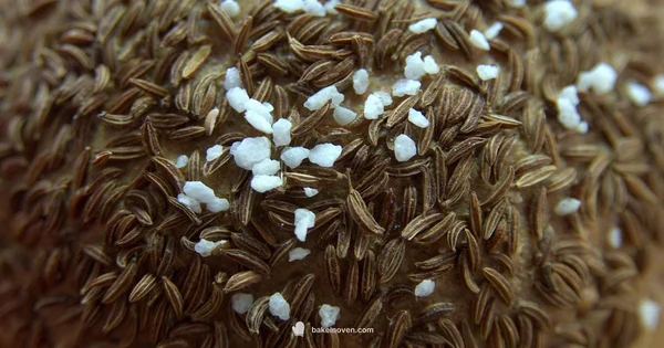Baked Goods on Flights - Bake In Oven
