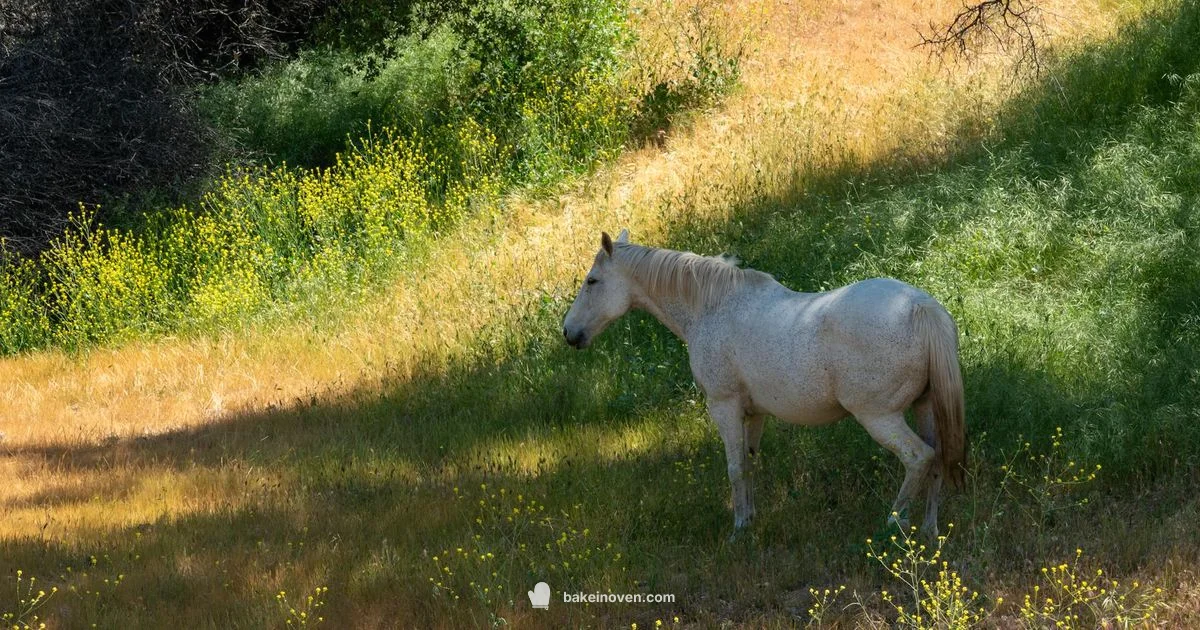 Origin of Bakersfield Origin of Bakersfield - Bake In Oven