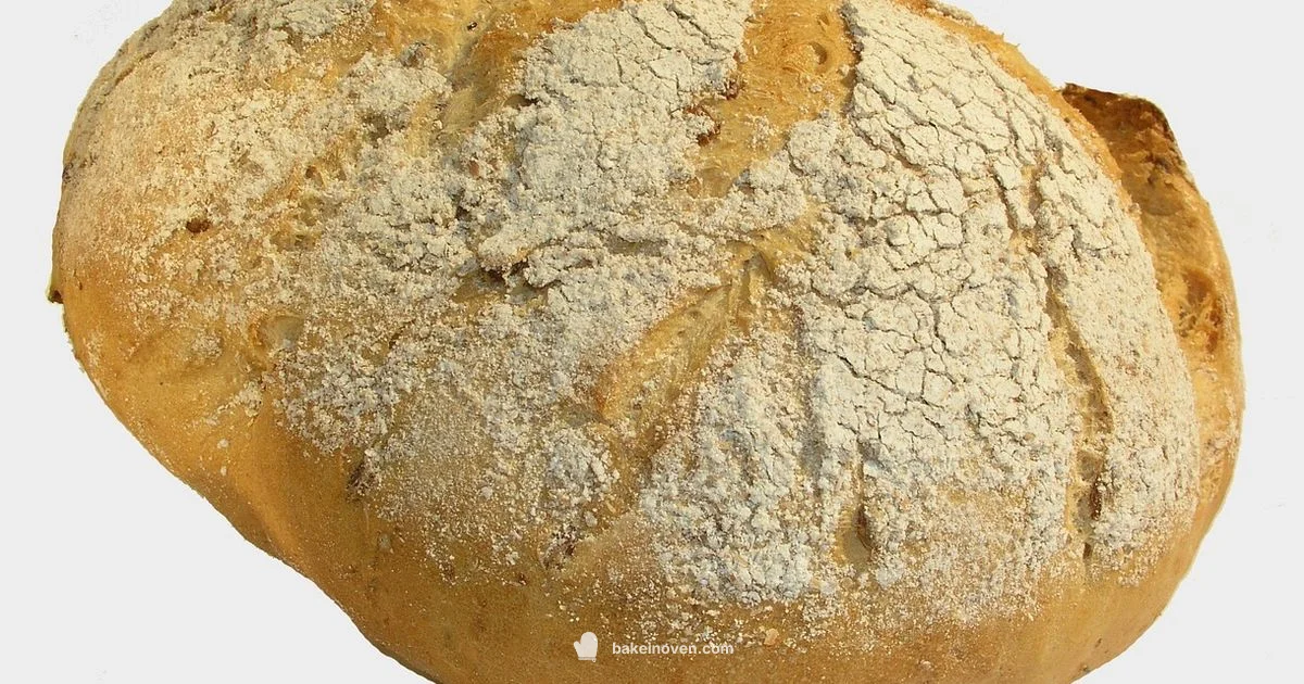 Bake Definition Guide - Bake In Oven