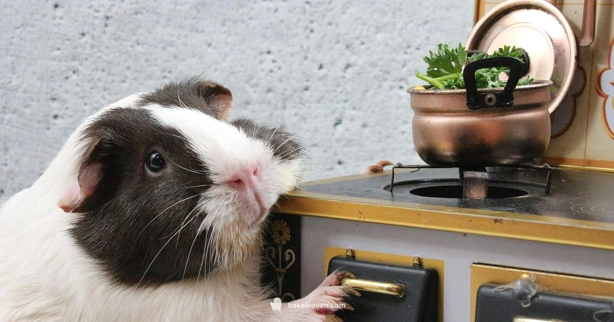 Easy Bake Mixes Easy Bake Mixes - Bake In Oven