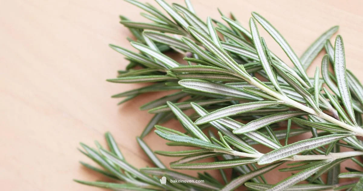 Fresh Bread Guide Fresh Bread Guide - Bake In Oven