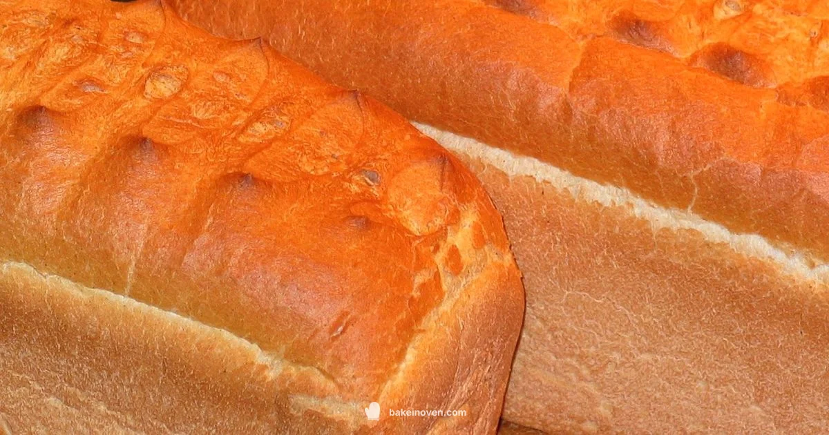 Crust and Crumb Mastery - Bake In Oven