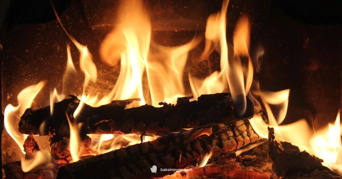 Juicy Oven Chicken - Bake In Oven