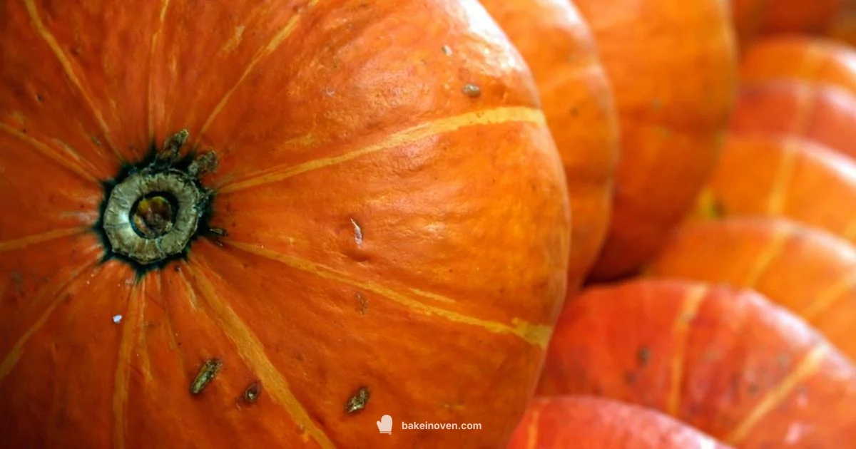 Roasted Squash & Zucchini - Bake In Oven