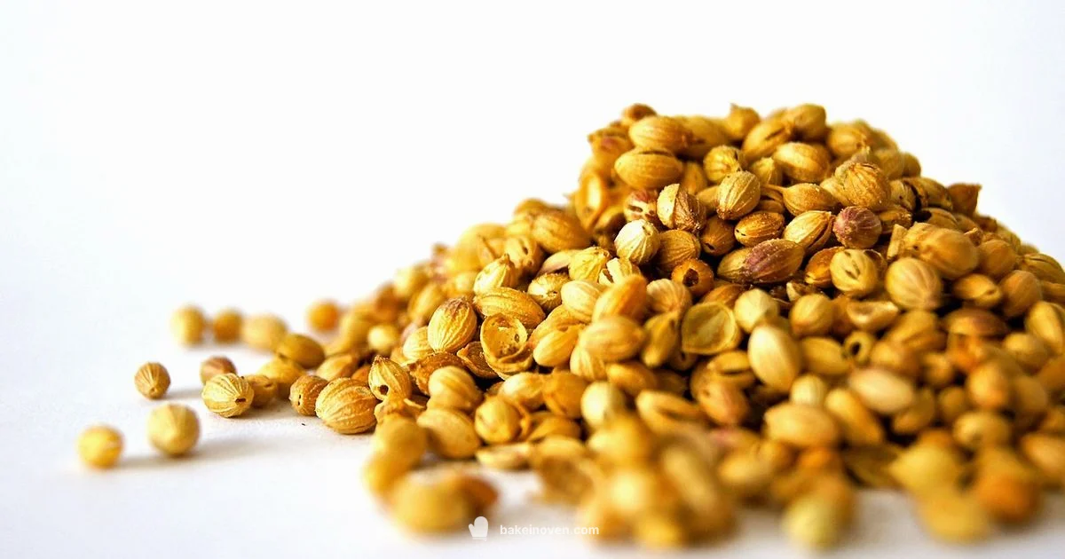 Bake Box Basics Bake Box Basics - Bake In Oven