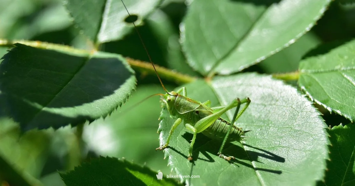 Bake in Grasshopper Bake in Grasshopper - Bake In Oven
