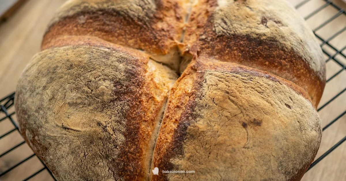 Sourdough Real Talk - Bake In Oven