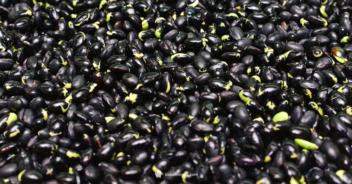 Beans for 40 Guests - Bake In Oven