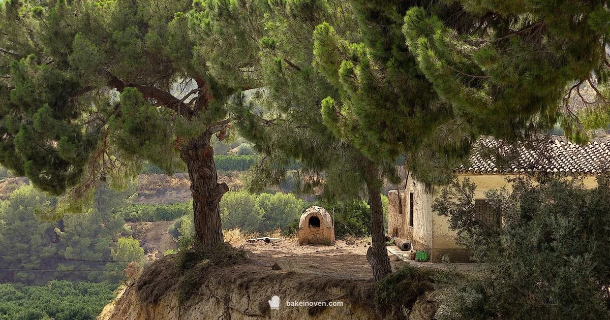 Is Roast Worth It - Bake In Oven