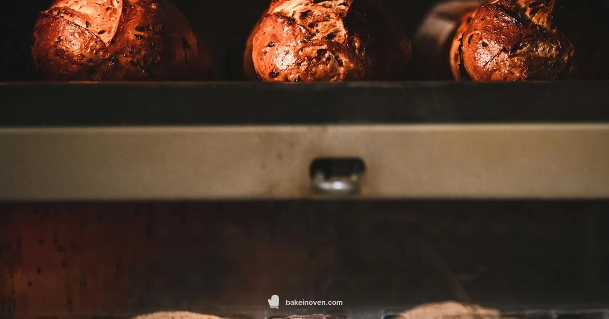 GBBO S16 Analysis - Bake In Oven