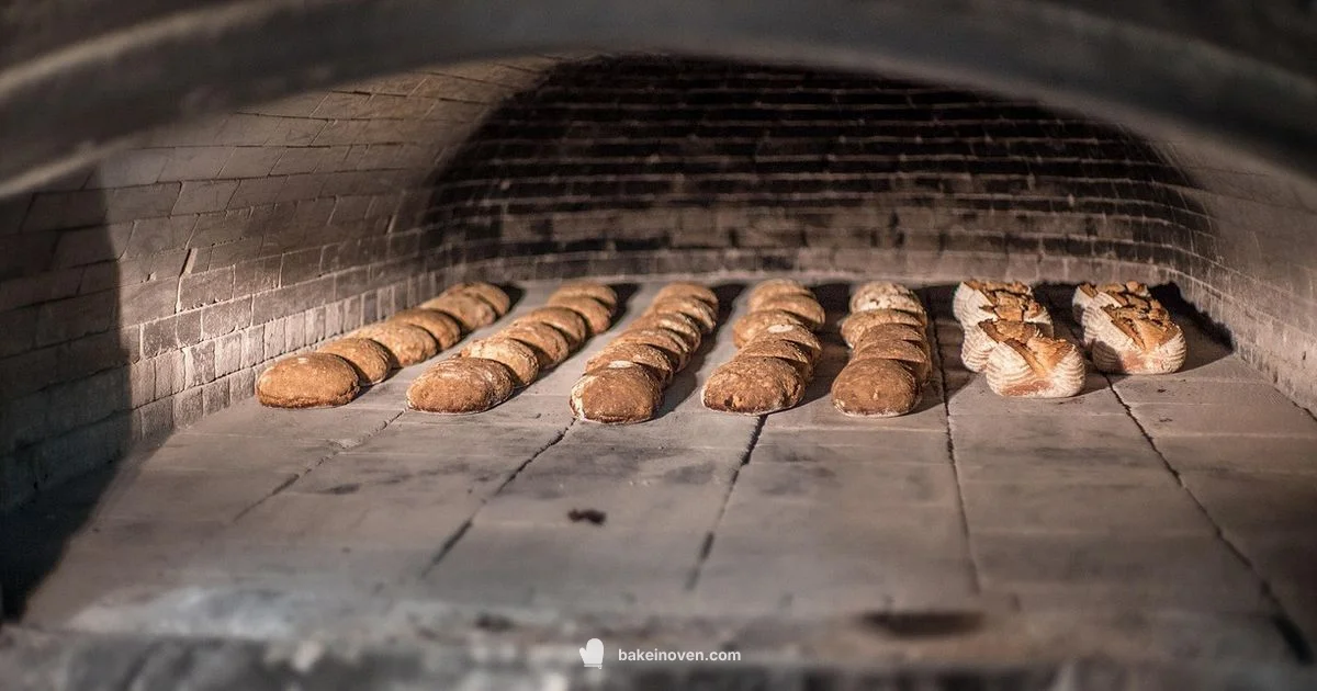Bake vs Broil Bake vs Broil - Bake In Oven
