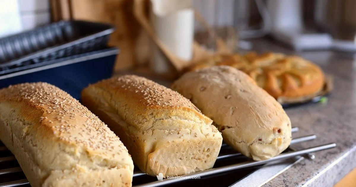 Best Things to Bake Best Things to Bake - Bake In Oven