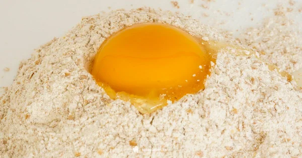 White Whole Wheat Flour Guide - Bake In Oven