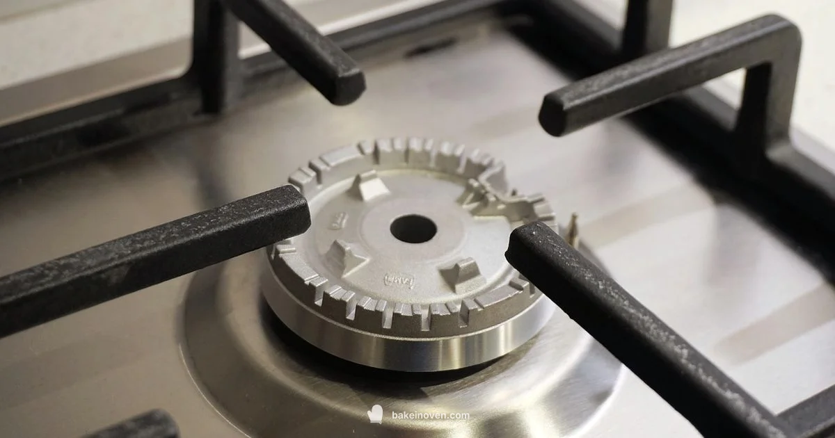 Bottom Bake Element Bottom Bake Element - Bake In Oven