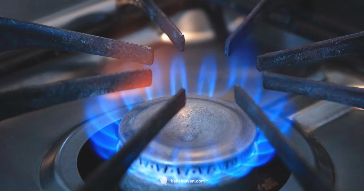 Juicy Chicken Bake - Bake In Oven