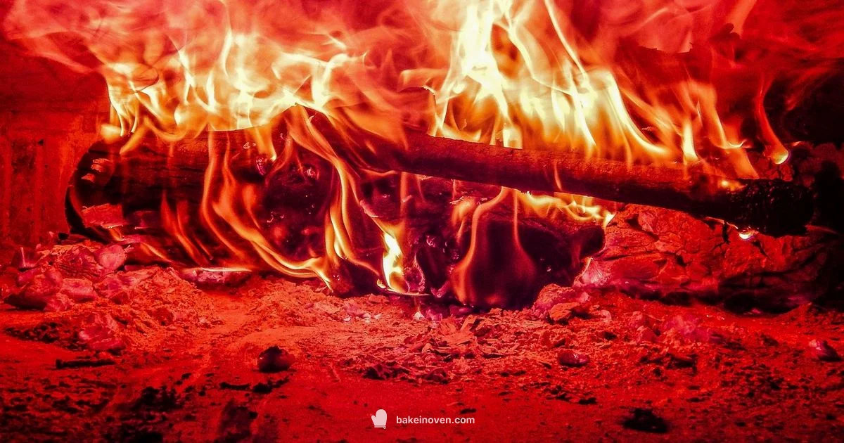 Top and Bottom Elements - Bake In Oven