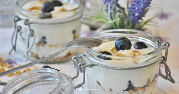 Baked Yogurt Guide - Bake In Oven