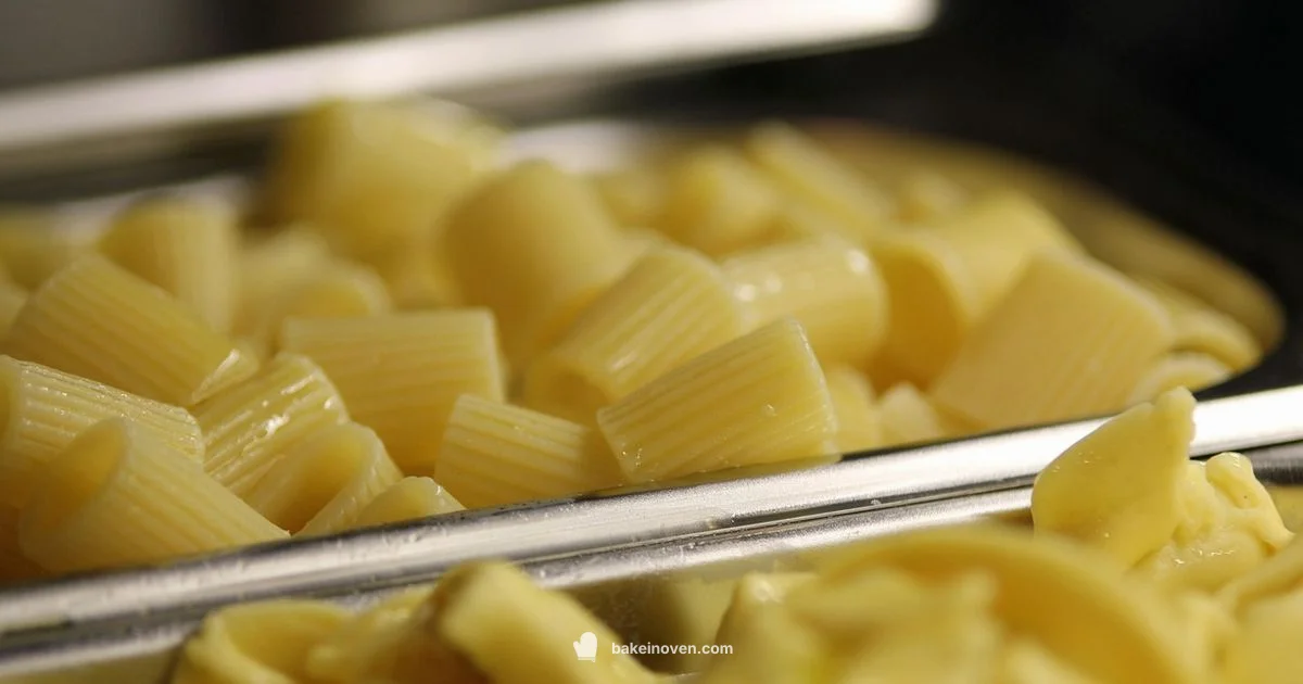 Baked Macaroni Guide - Bake In Oven