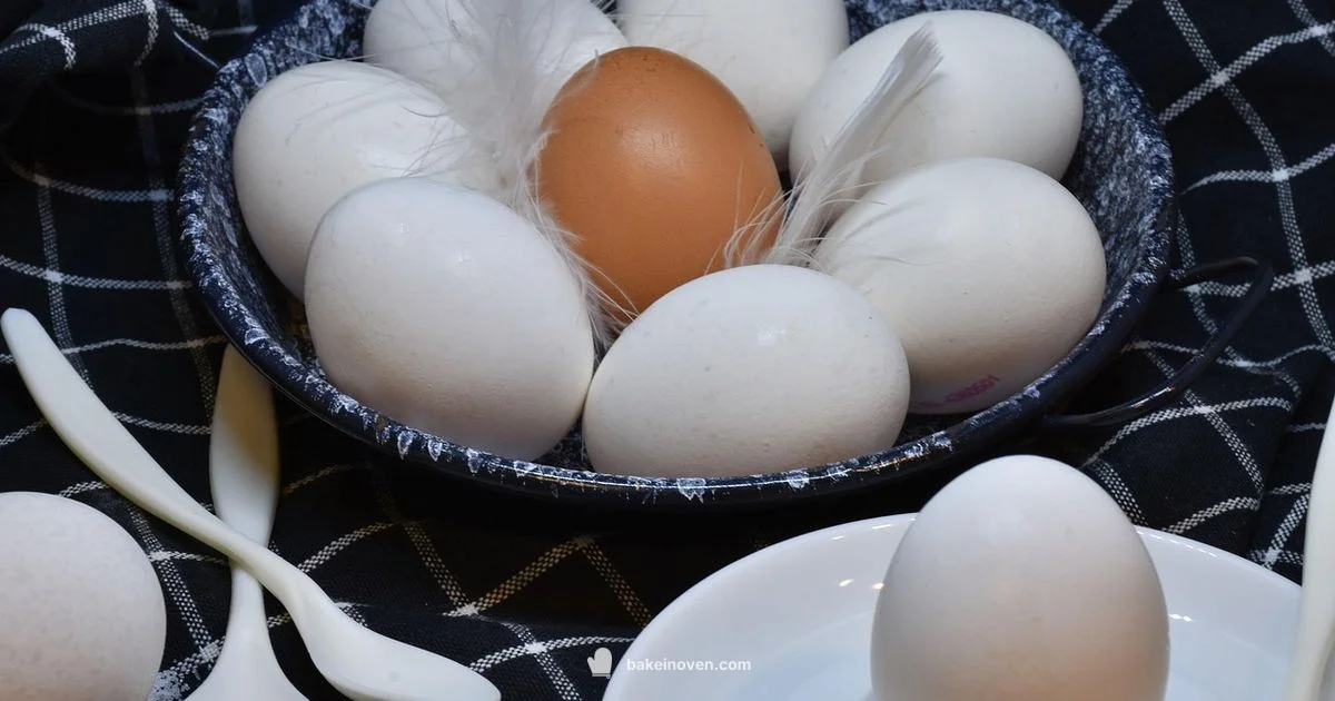 Egg Bake Guide - Bake In Oven