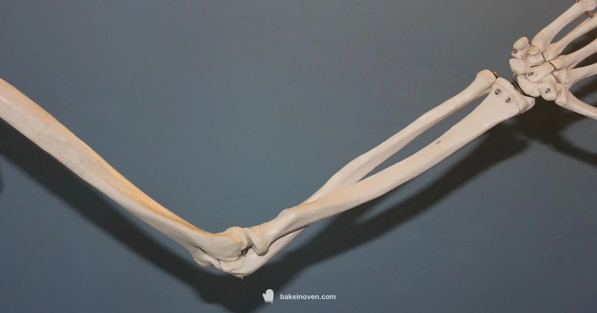 Elbow Cyst Guide - Bake In Oven