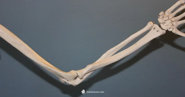 Elbow Cyst Guide - Bake In Oven