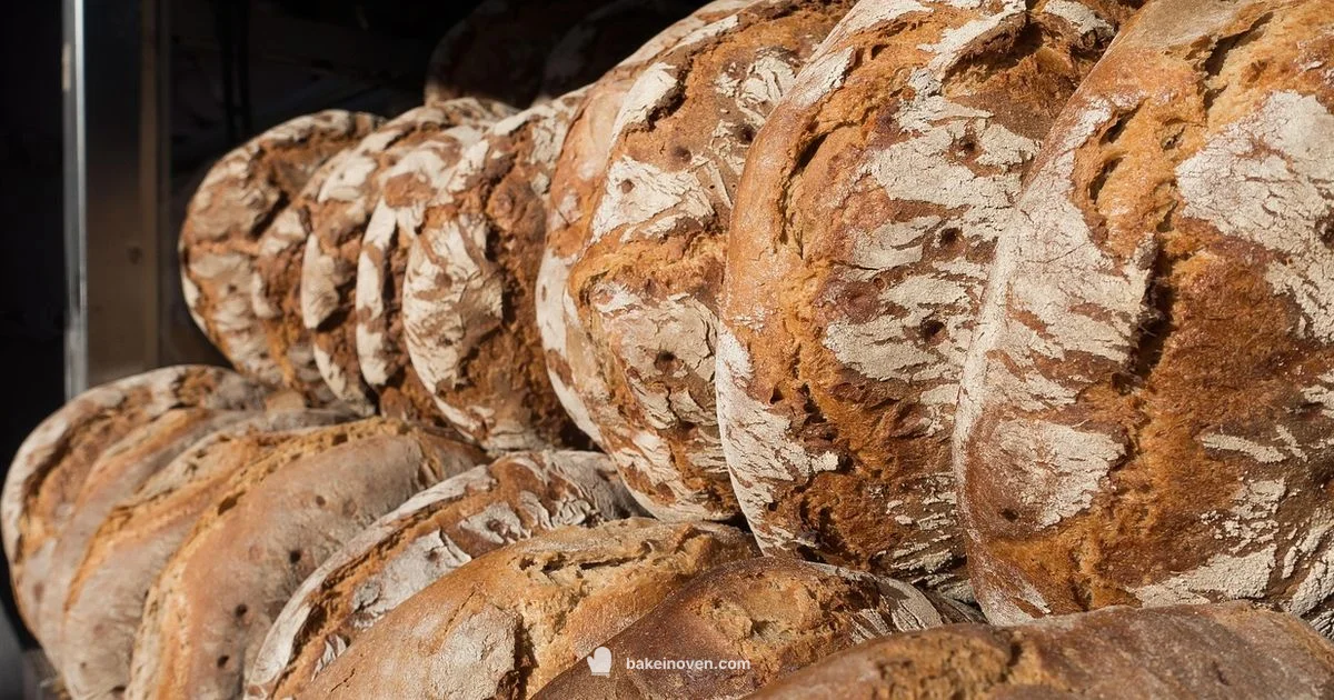 Nearby Fresh Loaves - Bake In Oven