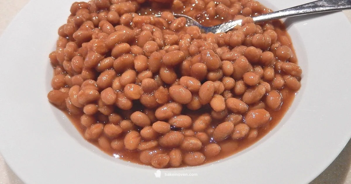 Baked Beans Basics - Bake In Oven