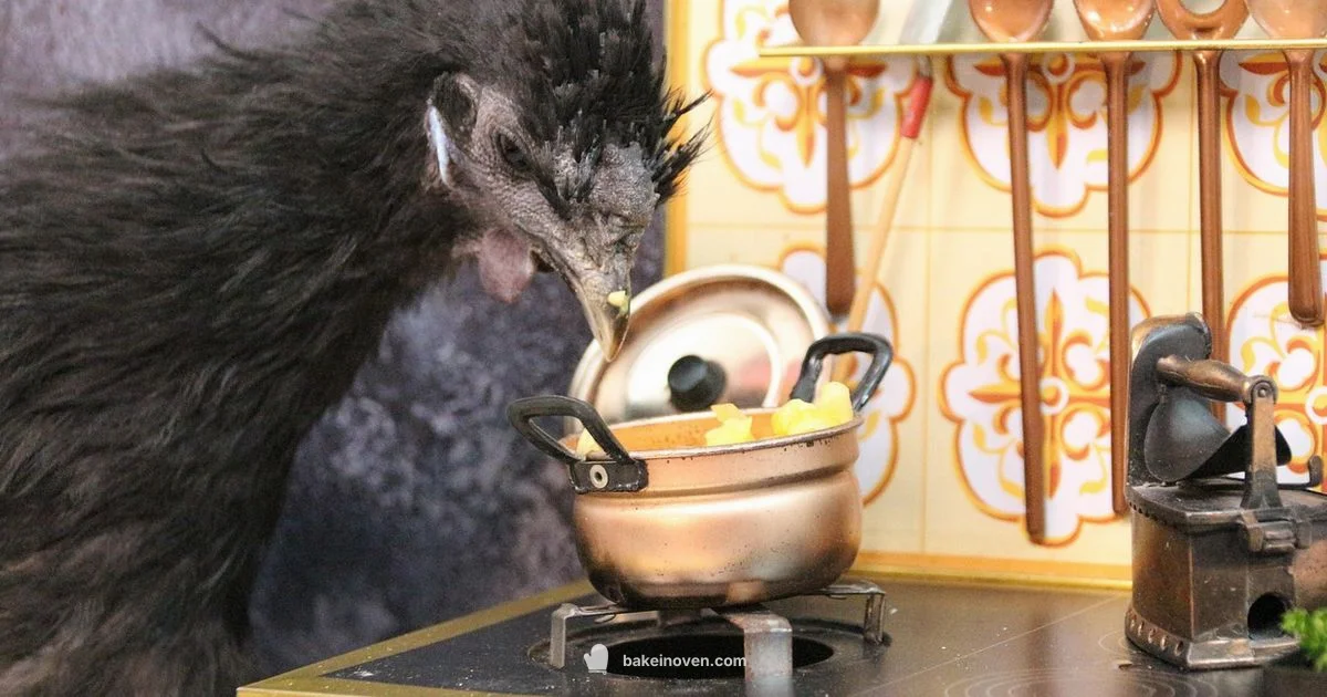 Juicy Chicken Bake - Bake In Oven