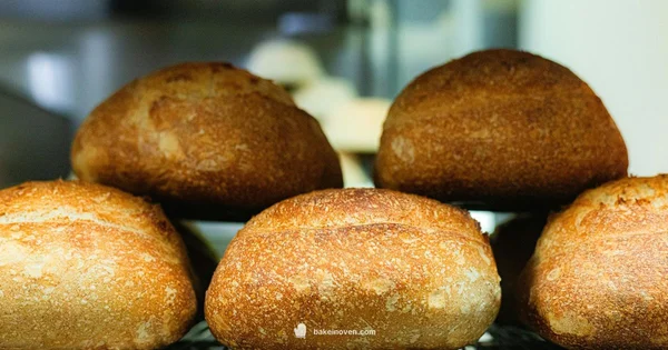 Yeast Bread Guide - Bake In Oven