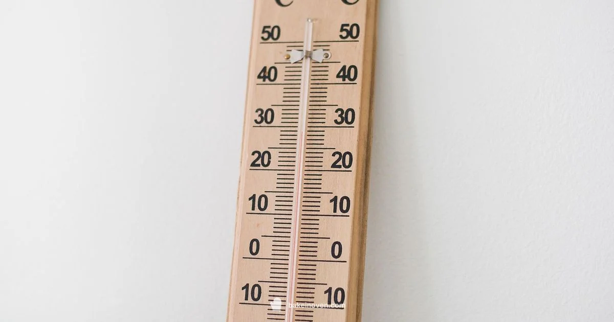 Can Bake Guide Can Bake Guide - Bake In Oven