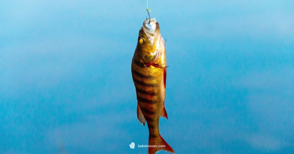 Best Fishing Bait Guide Best Fishing Bait Guide - Bake In Oven