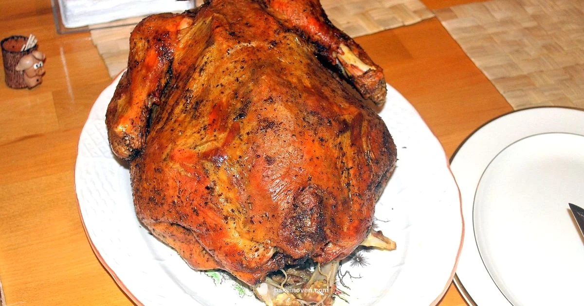 Turkey with Stuffing - Bake In Oven
