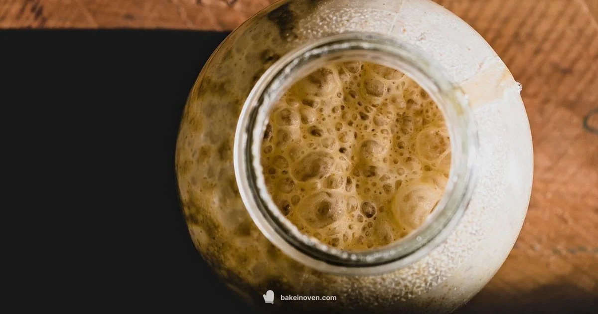 Sourdough Dutch Oven - Bake In Oven