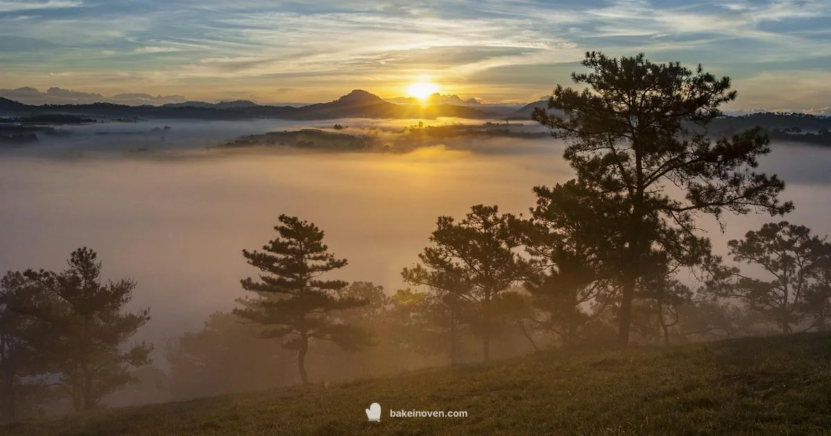 Wake and Bake Guide - Bake In Oven