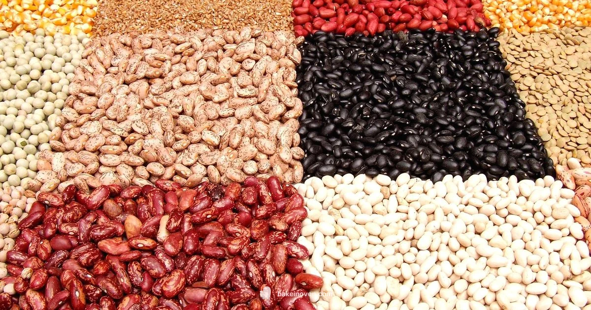 Baked Beans Guide - Bake In Oven