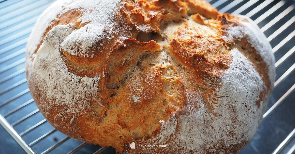 Bread Bake Mastery Bread Bake Mastery - Bake In Oven