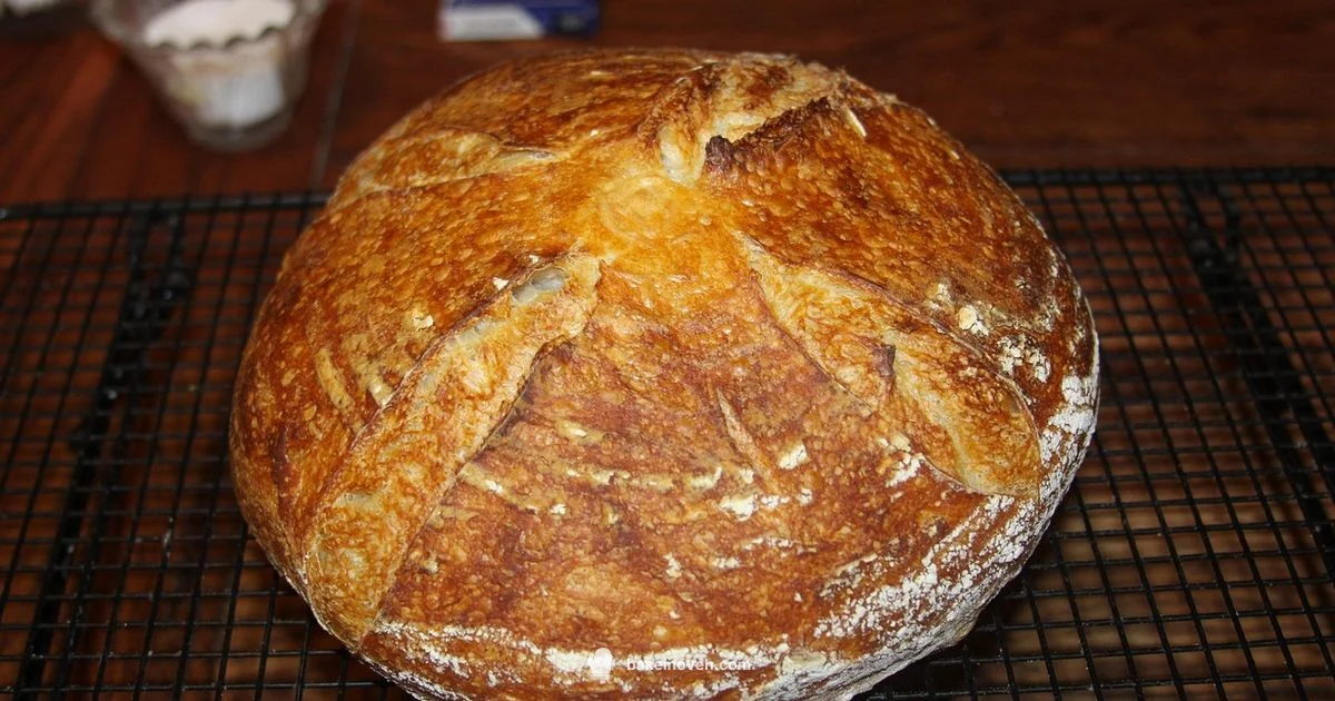 Overproofed Sourdough Overproofed Sourdough - Bake In Oven