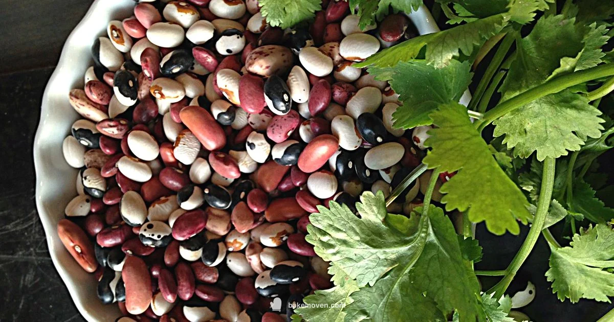 Beans and Digestion Guide - Bake In Oven