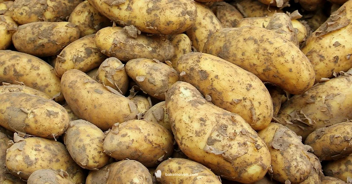 Perfect Baked Potato Perfect Baked Potato - Bake In Oven