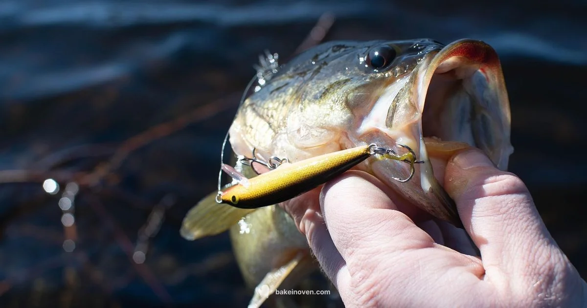 Bass Bait Guide Bass Bait Guide - Bake In Oven