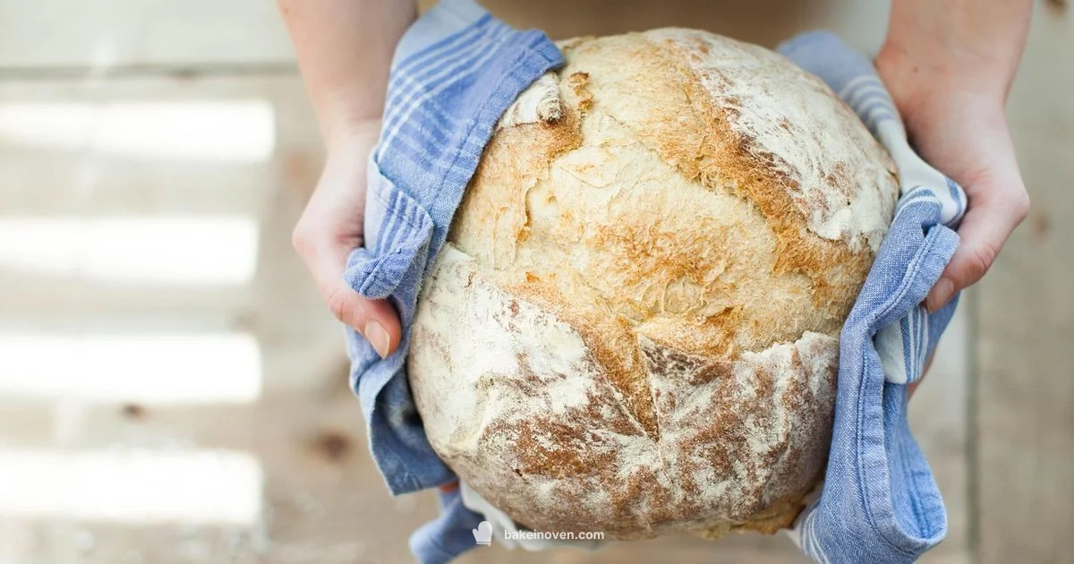 Best Local Bakeries - Bake In Oven