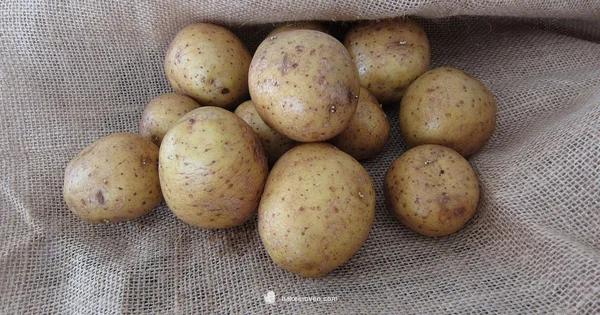 Crispy Cubed Potatoes - Bake In Oven