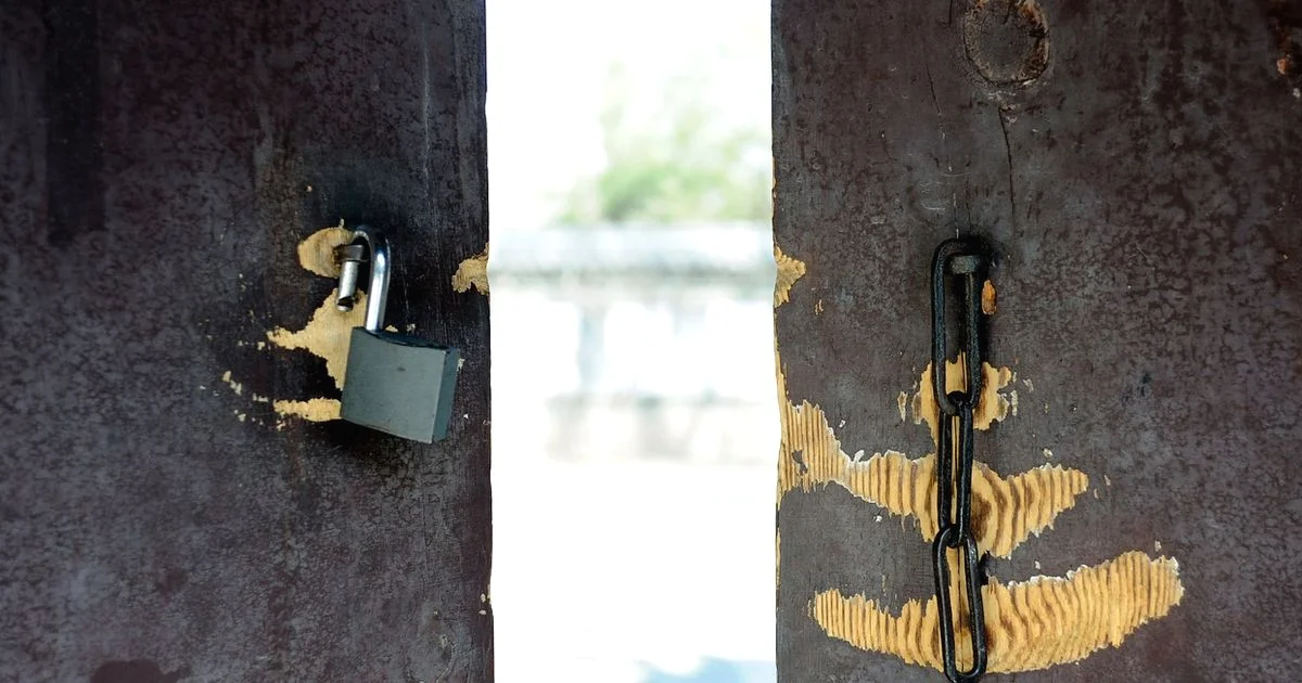 Oven vs Air Fryer - Bake In Oven